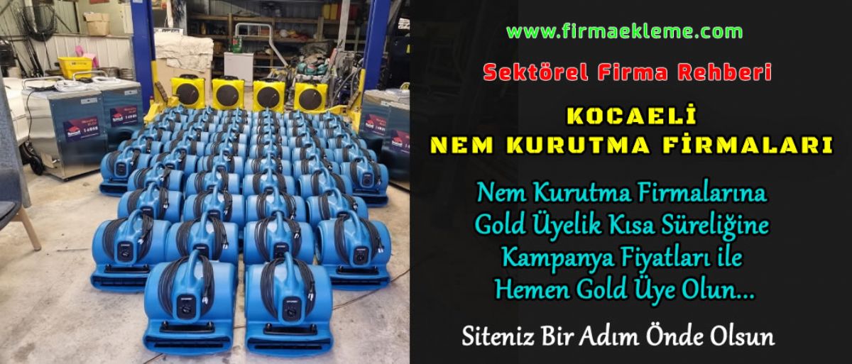 Kocaeli Nem Kurutma Firmalar