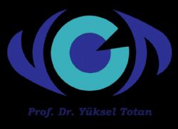 Gz Doktoru ve Retina Uzman Prof Dr Yksel Totan